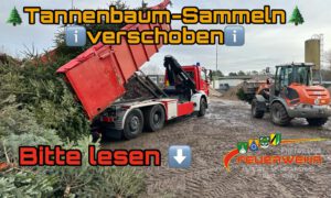 Mehr über den Artikel erfahren Tannenbaumsammeln 2026 verschoben!